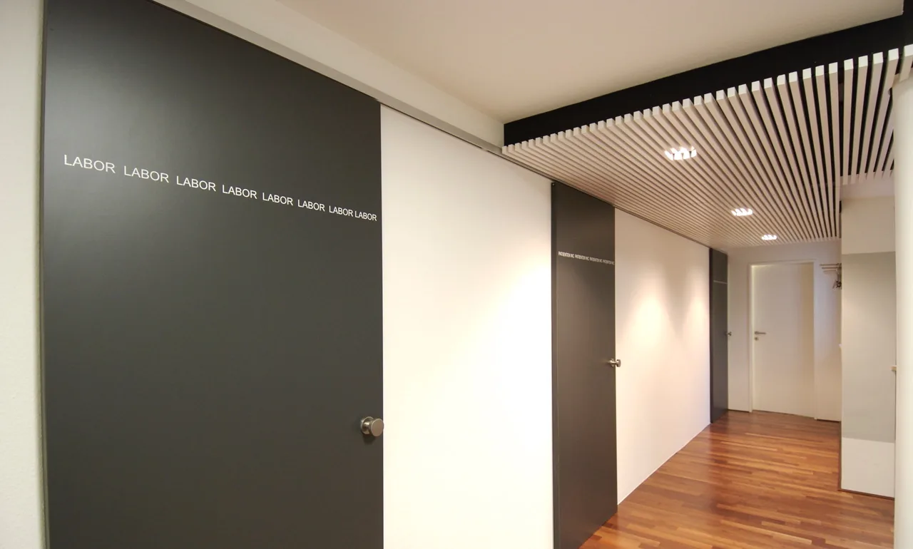 Flur mit Lamellendecke und dunkler Wand, Innenansicht